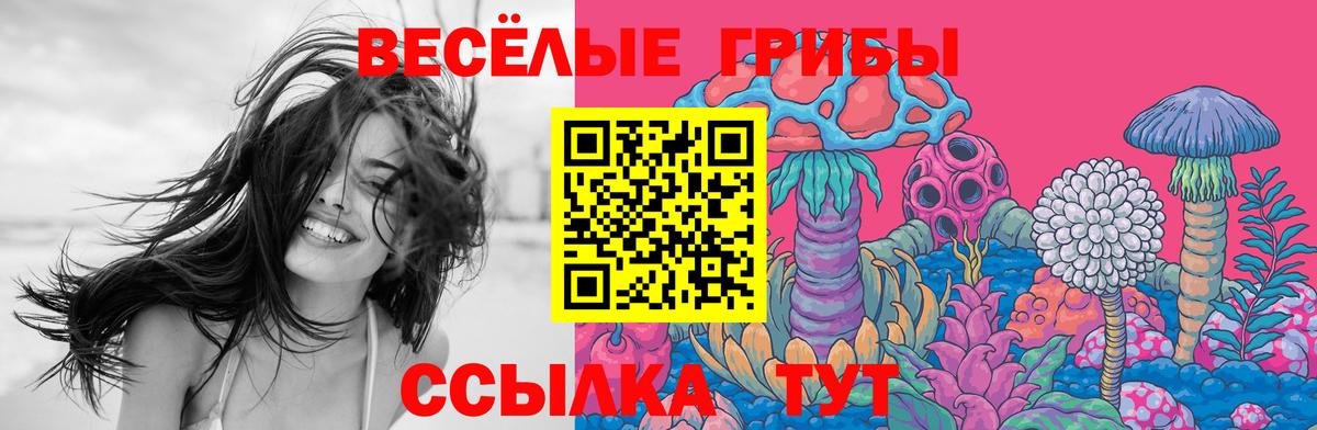 Вязьма  Галлюциногенные грибы мухоморы  Псилоцибиновые грибы GOLDEN TEACHER  дарнет шоп  Вход с VPN 